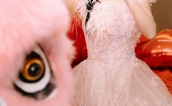 日本一本道在线一二区